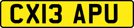 CX13APU
