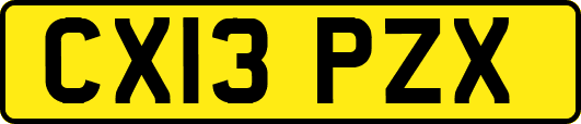 CX13PZX