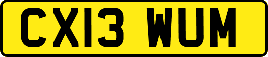 CX13WUM