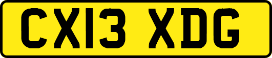 CX13XDG