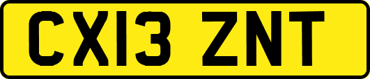 CX13ZNT