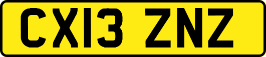 CX13ZNZ