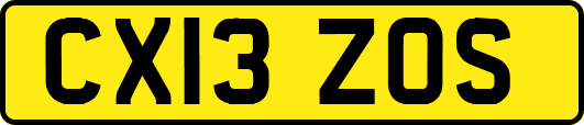 CX13ZOS