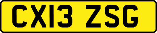 CX13ZSG