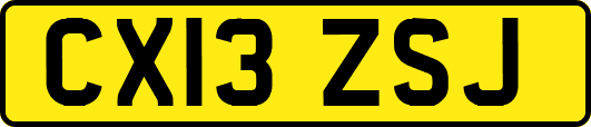 CX13ZSJ
