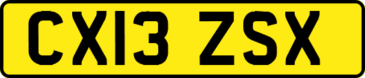 CX13ZSX
