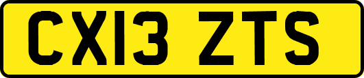 CX13ZTS