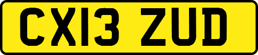 CX13ZUD