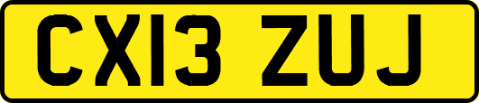 CX13ZUJ