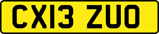 CX13ZUO