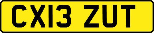 CX13ZUT