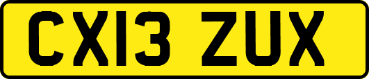 CX13ZUX