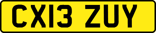 CX13ZUY