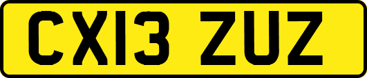CX13ZUZ