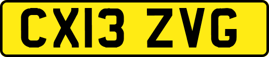 CX13ZVG