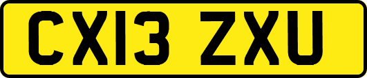 CX13ZXU
