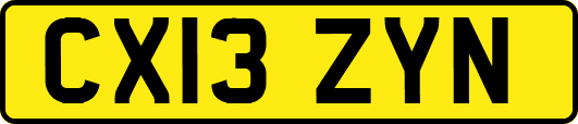 CX13ZYN