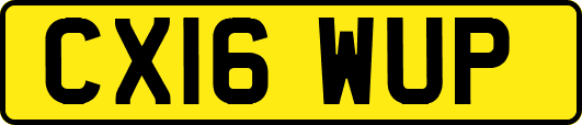 CX16WUP