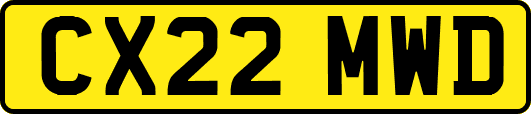 CX22MWD