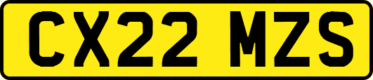 CX22MZS