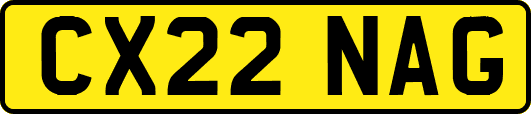 CX22NAG