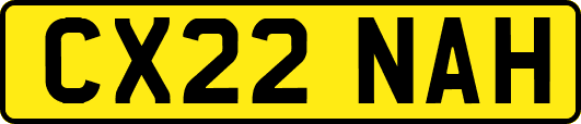 CX22NAH