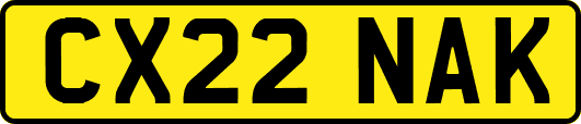CX22NAK