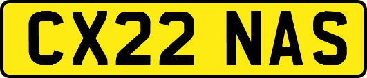 CX22NAS