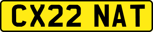 CX22NAT
