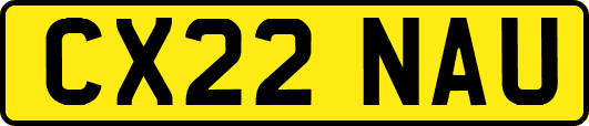 CX22NAU