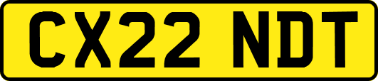 CX22NDT