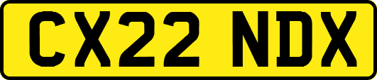 CX22NDX