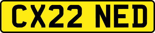 CX22NED