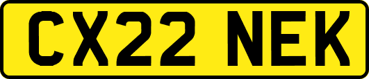 CX22NEK