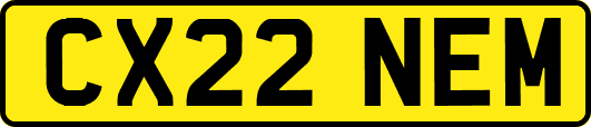 CX22NEM