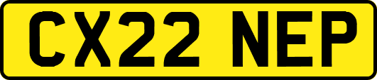 CX22NEP