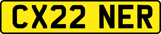 CX22NER