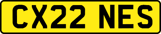 CX22NES