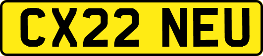 CX22NEU