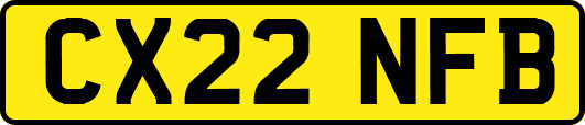 CX22NFB