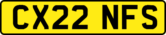 CX22NFS