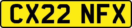 CX22NFX