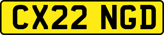 CX22NGD