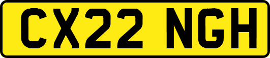CX22NGH