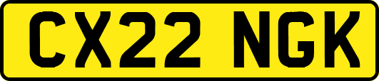 CX22NGK