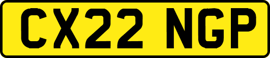 CX22NGP