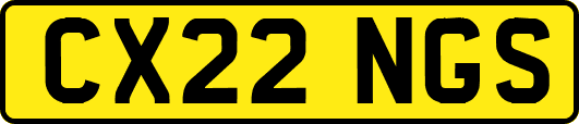 CX22NGS
