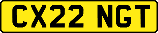 CX22NGT
