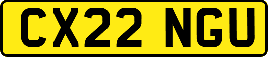 CX22NGU