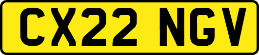 CX22NGV